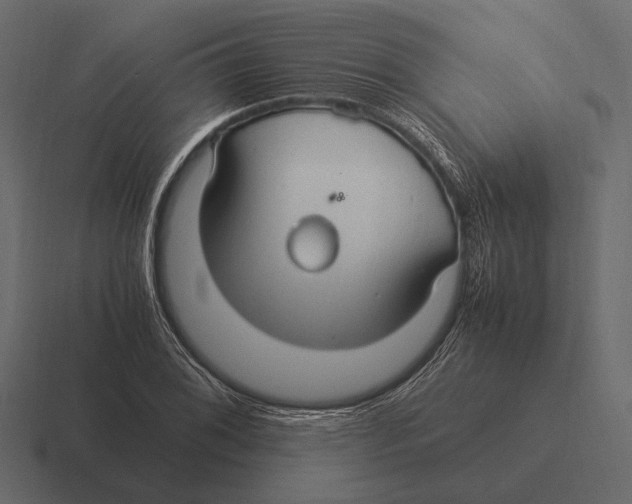 X0000116371076200912291706