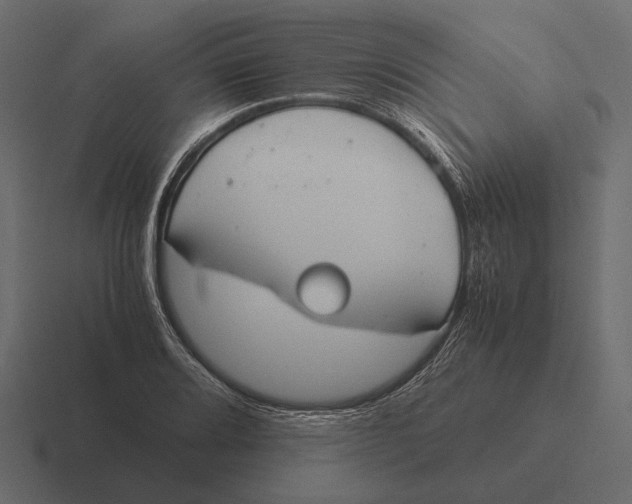 X0000116371080200912291706