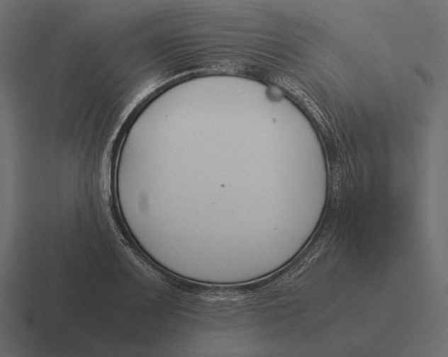 X0000116371083200912291706