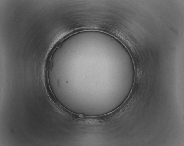 X0000116371085200912291706