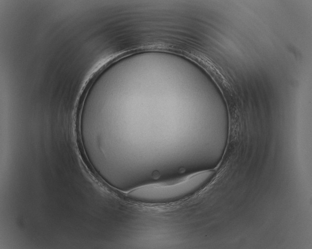 X0000116371086200912291706