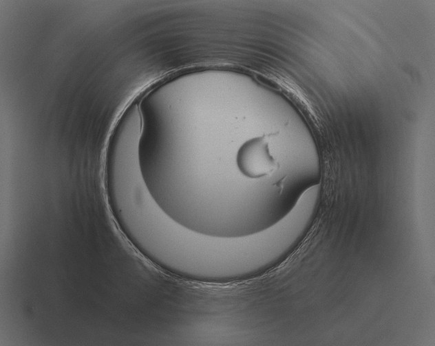 X0000116371088200912291706