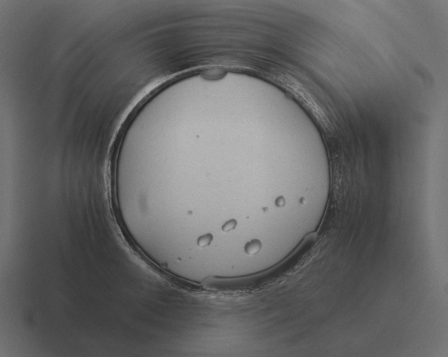 X0000116371092200912291705