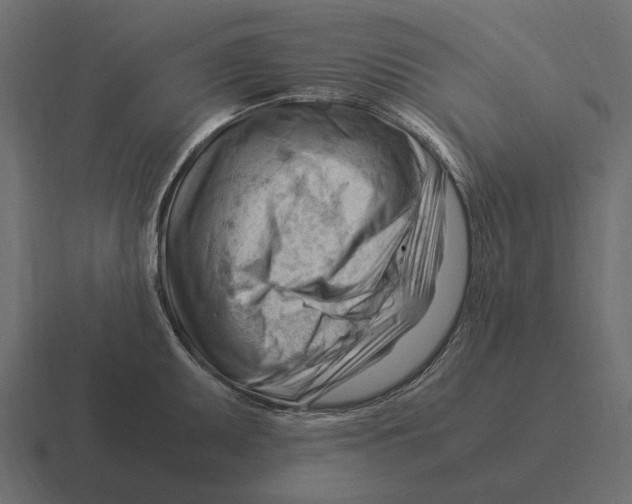 X0000116371095200912291705