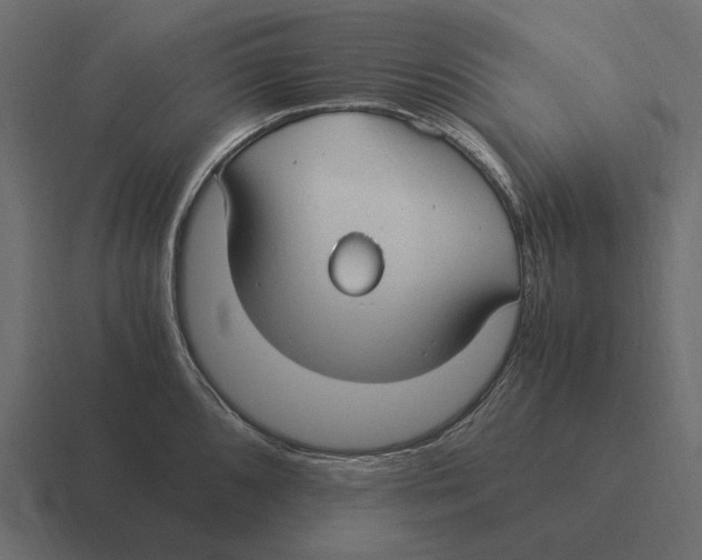 X0000116371096200912291705