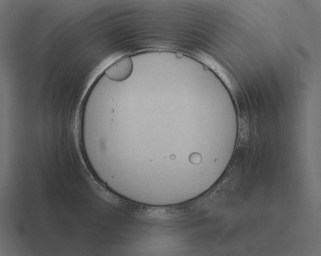 X0000116371098200912291705