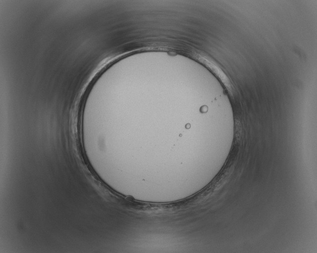 X0000116371099200912291705