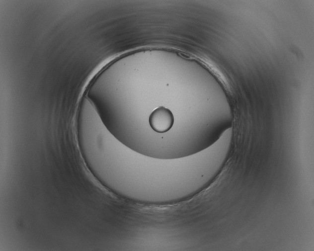 X0000116371100200912291705