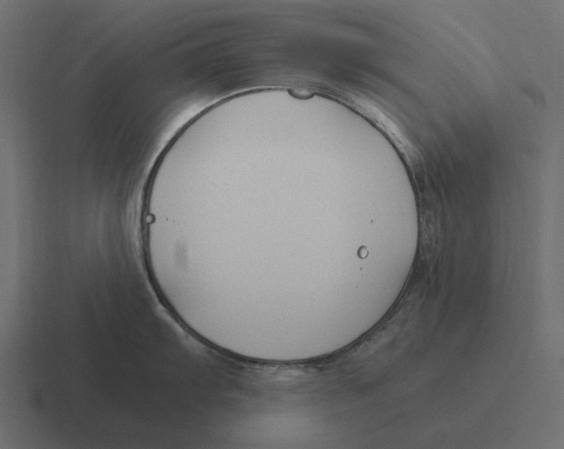 X0000116371103200912291705