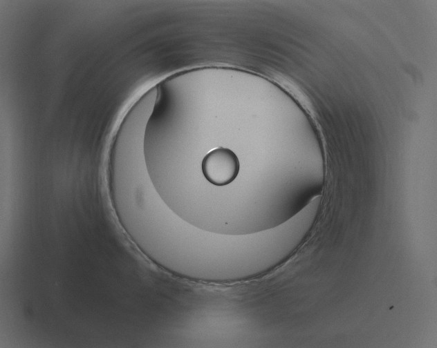 X0000116371104200912291705