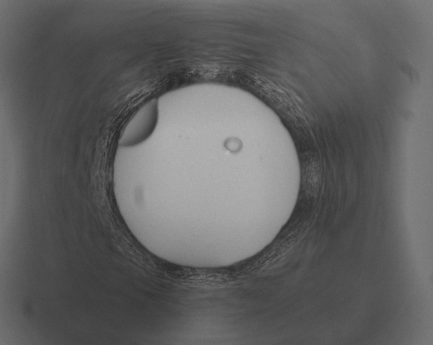 X0000116371105200912291705