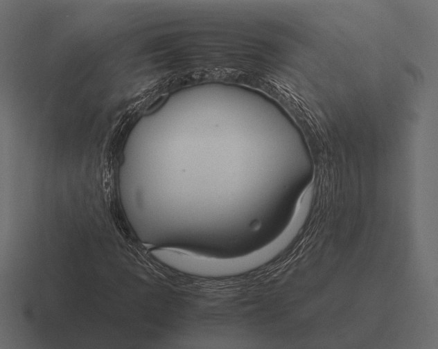 X0000116371109200912291705