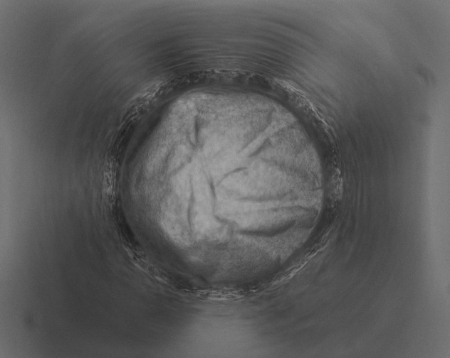 X0000116371110200912291705