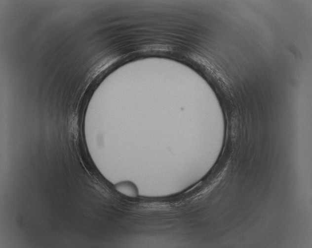 X0000116371113200912291705