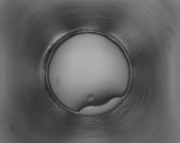 X0000116371115200912291705