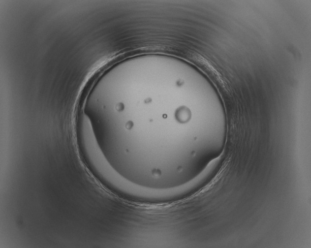 X0000116371122200912291705