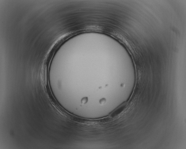 X0000116371123200912291705