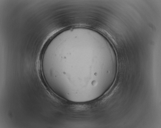 X0000116371125200912291705