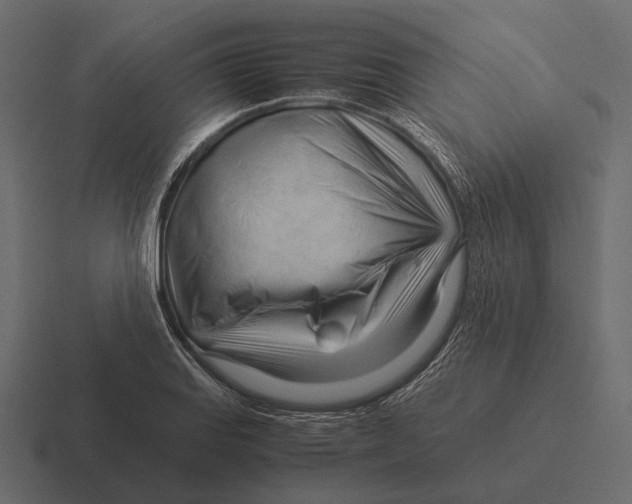 X0000116371127200912291705