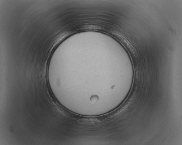 X0000116371129200912291705