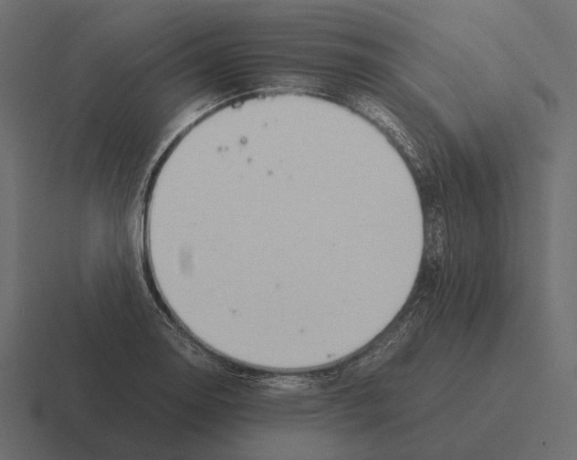 X0000116371130200912291705