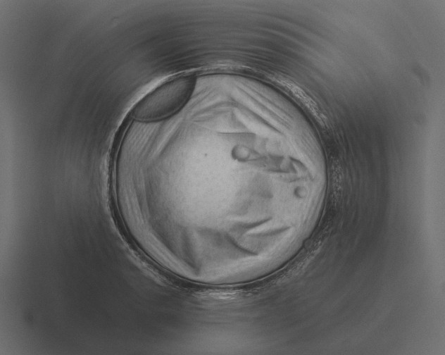 X0000116371134200912291705