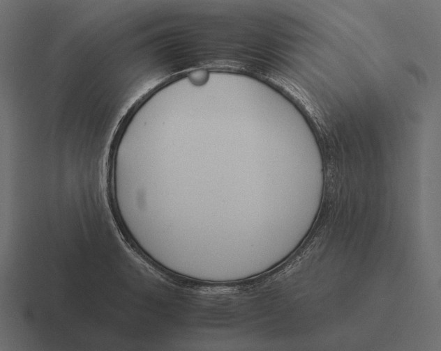 X0000116371135200912291705