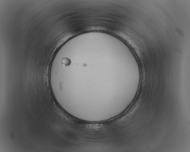 X0000116371137200912291705