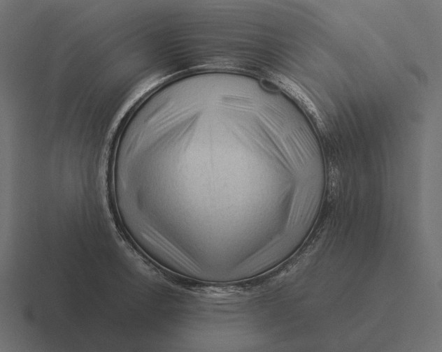 X0000116371138200912291705