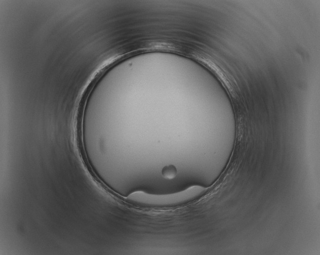 X0000116371139200912291705