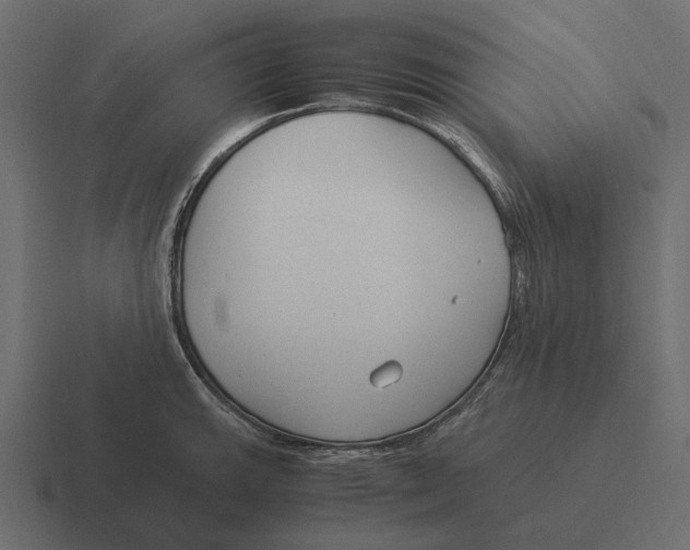 X0000116371143200912291705