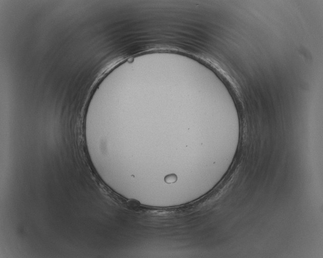 X0000116371145200912291705