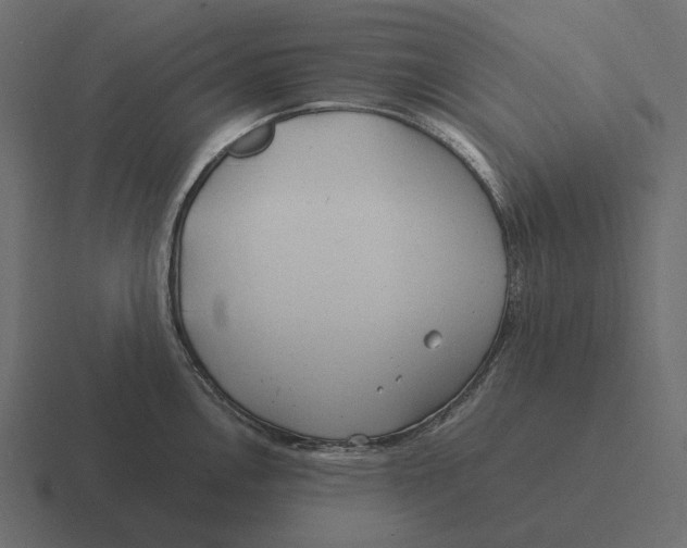 X0000116371146200912291705