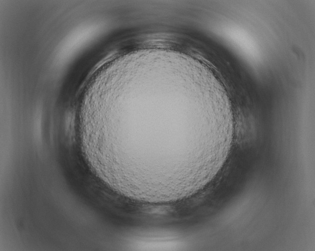 X0000116371150200912291705