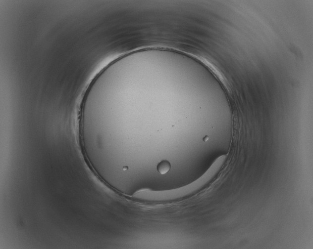 X0000116371151200912291705