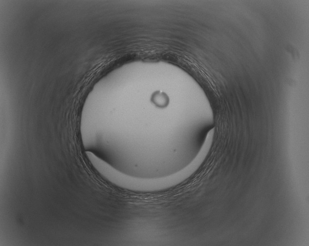 X0000116371153200912291705