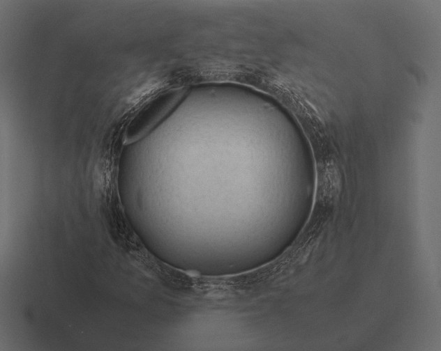 X0000116371157200912291705