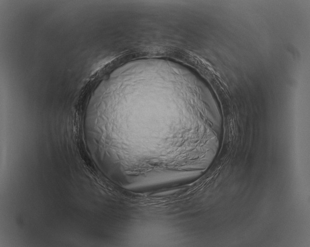 X0000116371158200912291705