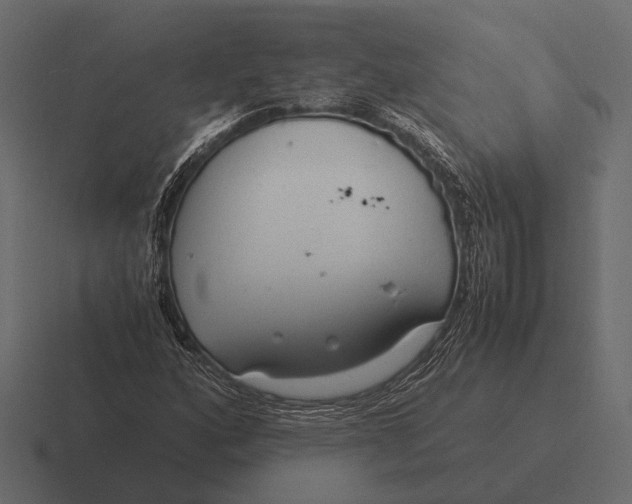 X0000116371160200912291705