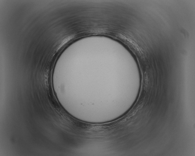 X0000116371162200912291705