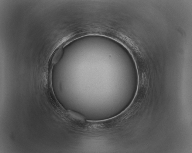 X0000116371165200912291705