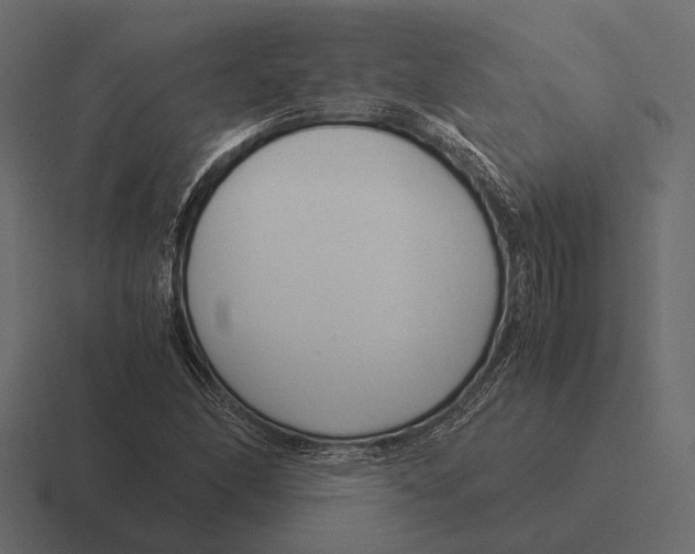 X0000116371166200912291705