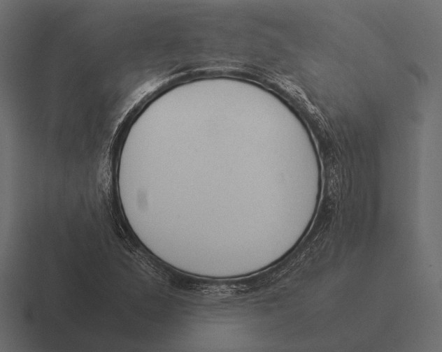 X0000116371167200912291705