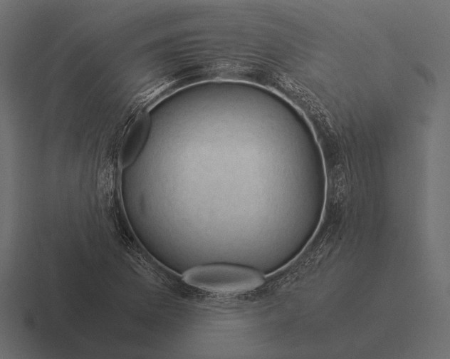 X0000116371169200912291705