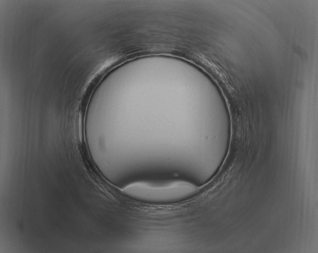 X0000116371171200912291705