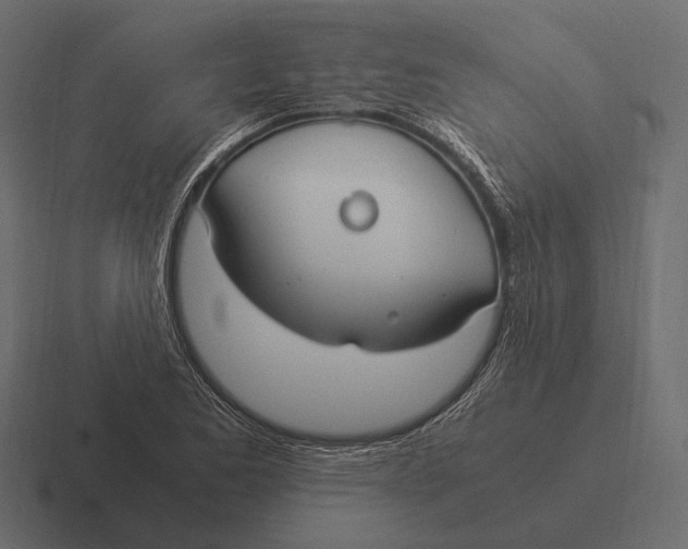 X0000116371173200912291704