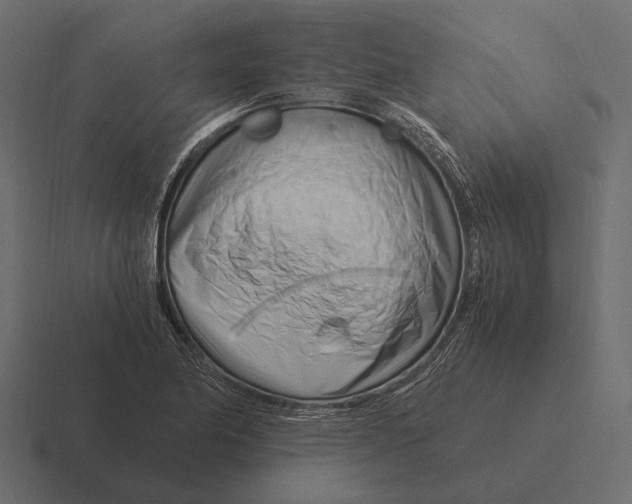 X0000116371174200912291704