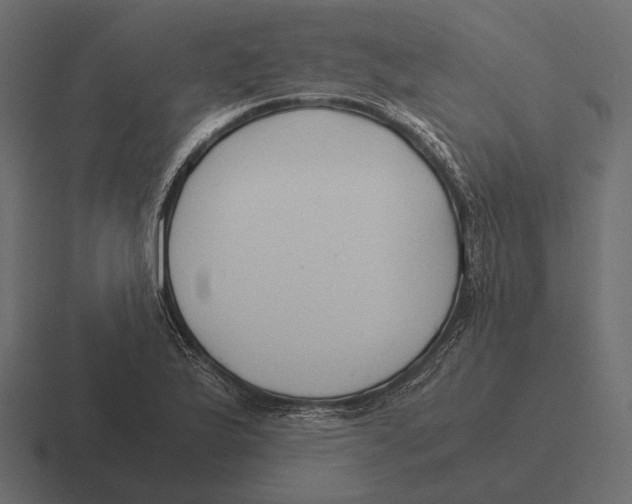 X0000116371175200912291704