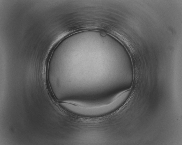 X0000116371179200912291704