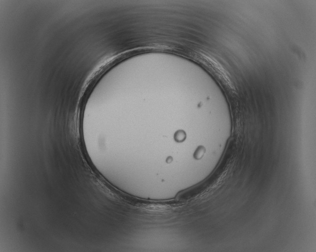 X0000116371180200912291704